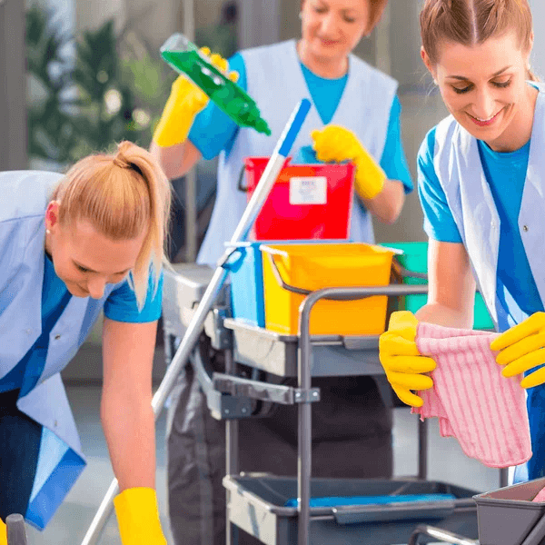 Seferihisar'da Ev Temizliği: Profesyonel Hizmetin Avantajları : Kapak Görseli